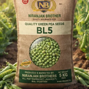 Pea BL5