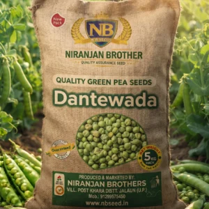 Pea Dantewada