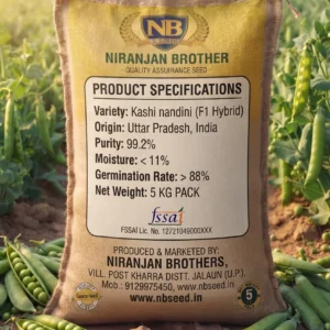 Pea Kashi Nandini