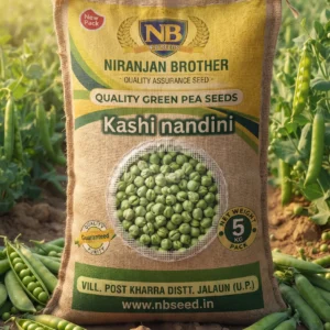 Pea Kashi Nandini