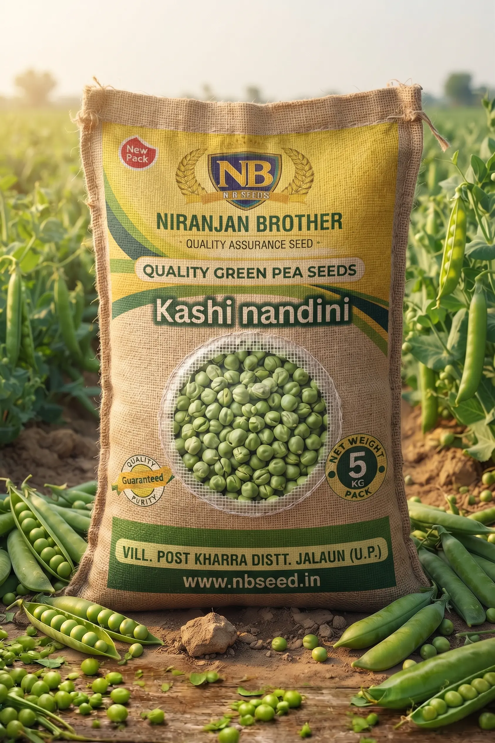Pea Kashi Nandini