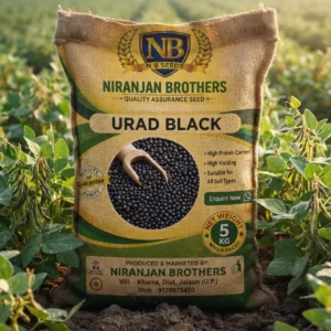 Urad black
