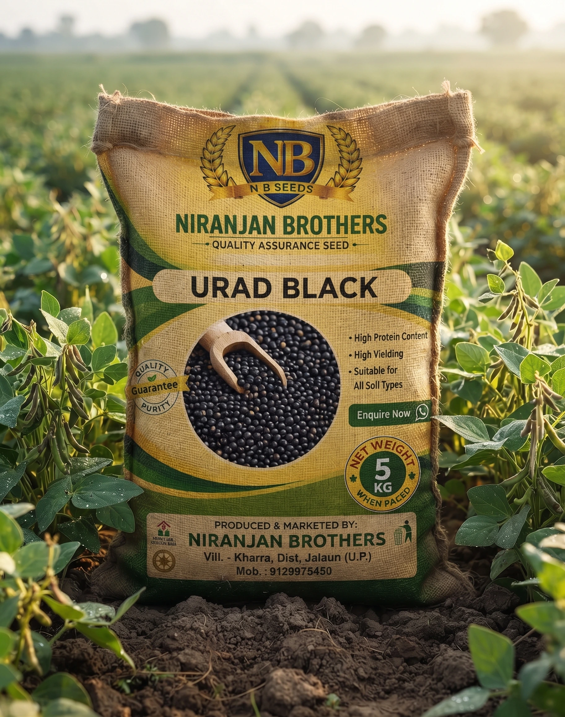 Urad black