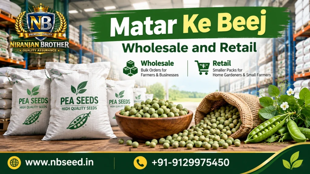 Matar Ke Beej Wholesale and Retail