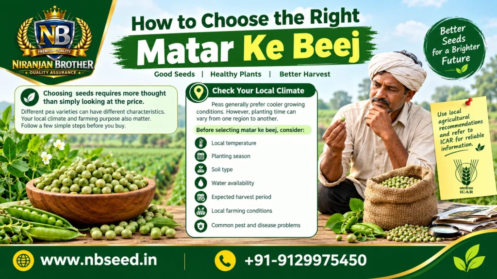 How to Choose the Right Matar Ke Beej