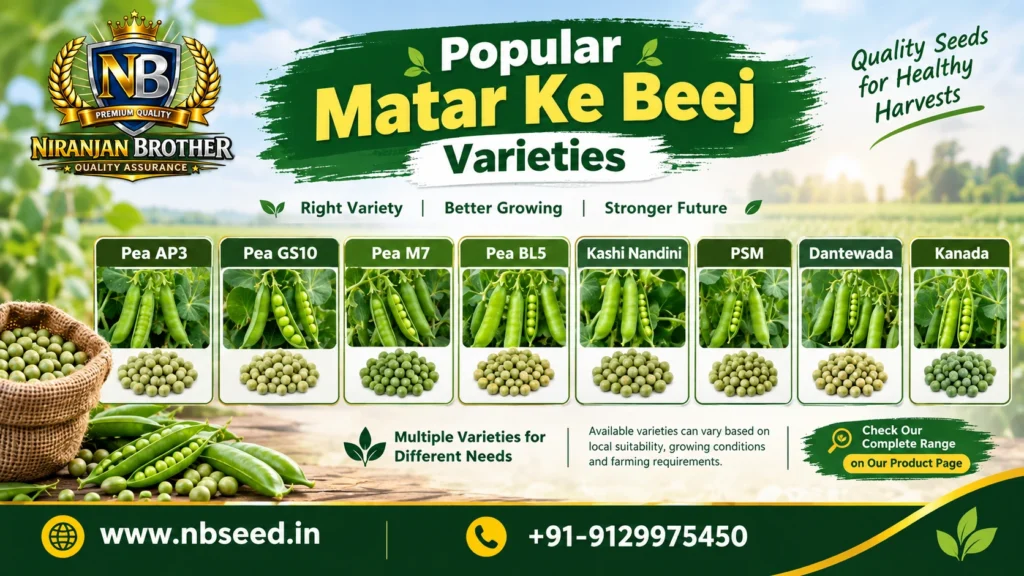 Popular Matar Ke Beej Varieties