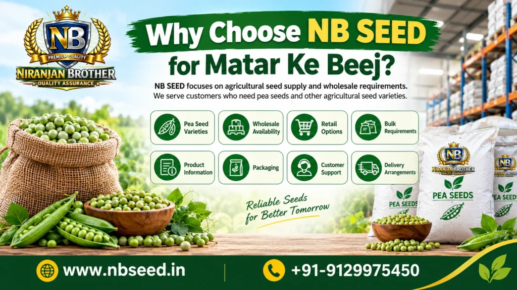 Why Choose NB SEED for Matar Ke Beej?