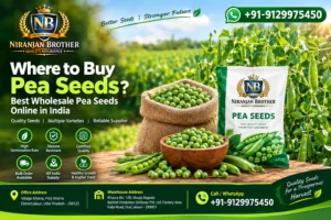 Where to buy pea seeds