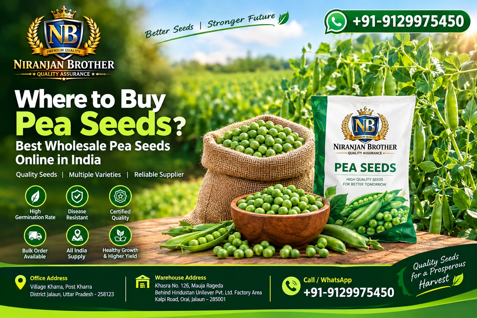 You are currently viewing Where to buy pea seeds