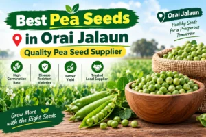 Best Pea Seeds in Orai Jalaun