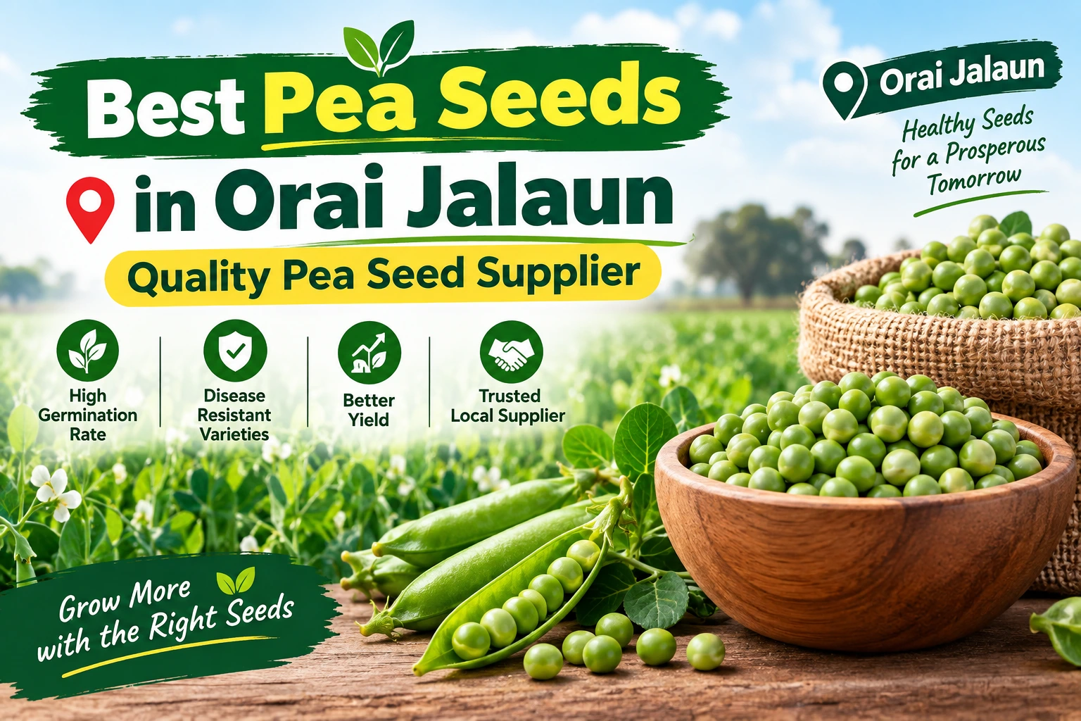 You are currently viewing Best Pea Seeds in Orai Jalaun