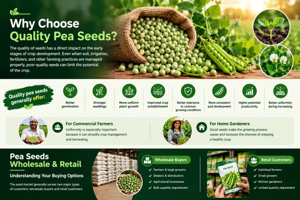 Why Choose Quality Pea Seeds?