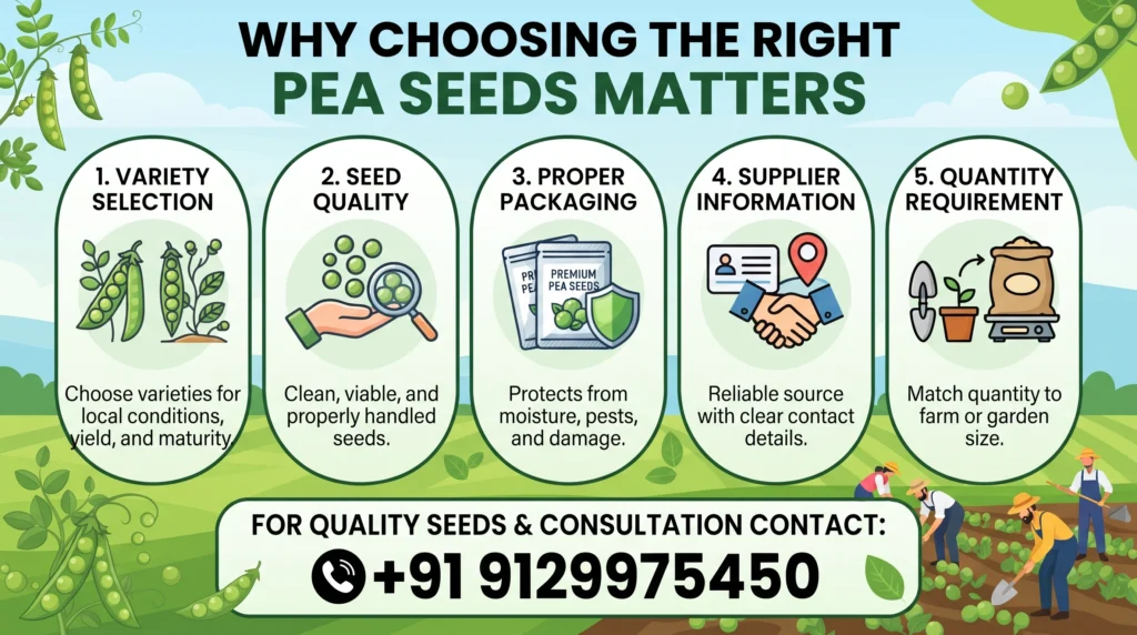 Why Choosing the Right Pea Seeds Matters