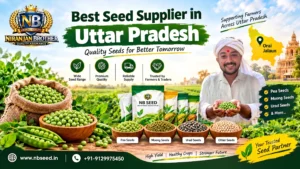 Best seed supplier in Uttar Pradesh