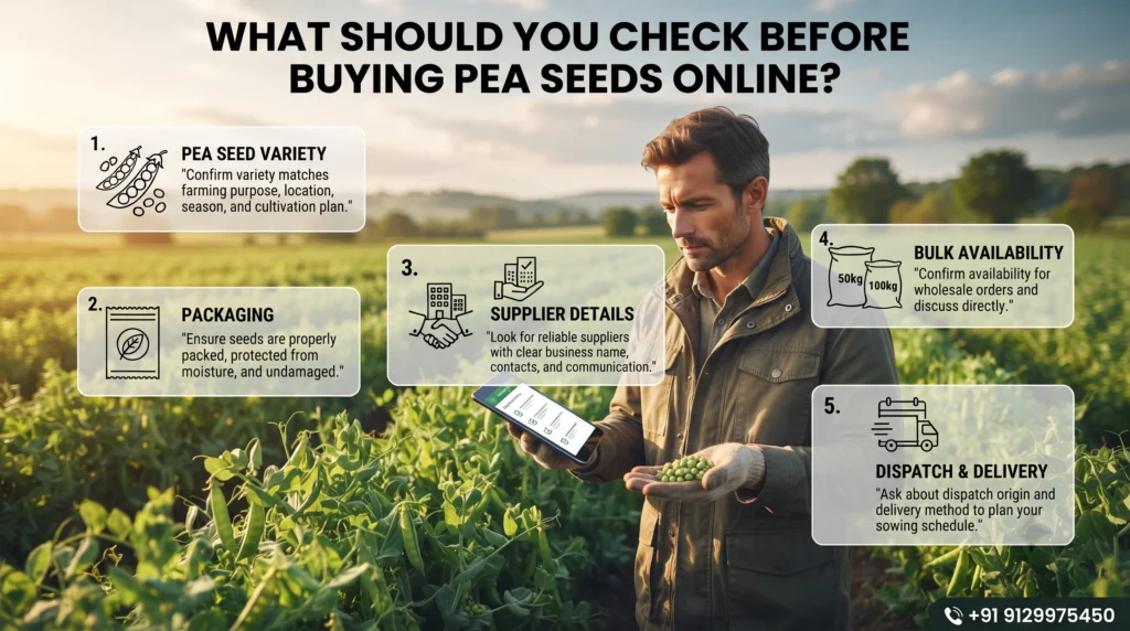What Should You Check Before Buying Pea Seeds Online?
