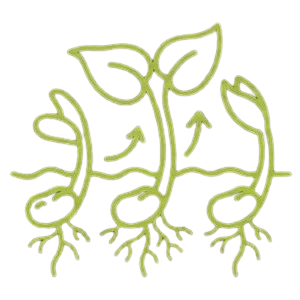 High Germination