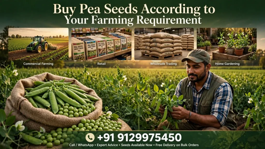 Buy Pea Seeds According to Your Farming Requirement